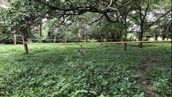 Como parte de un operativo