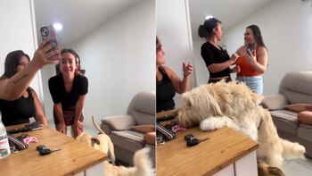 La joven argentina no esperaba