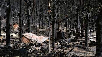 La devastación en Ávila y Madrid por los incendios forestales, en imágenes: más de 75.000 hectáreas quemadas, vehículos calcinados y pueblos cubiertos de ceniza