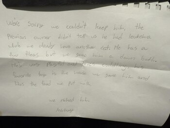 Los dueños lo dejaron abandonado