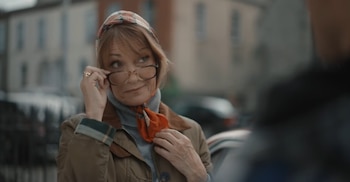 En la serie Harry Wild,