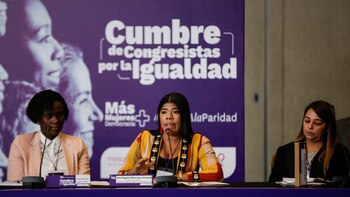 Cumbre por la Igualdad: congresistas