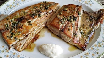 bonito - pesca