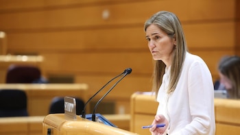 Aagesen niega haber beneficiado "a