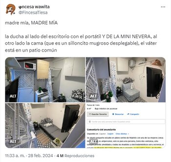 Virales- Alquiler