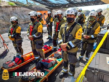 Forman parte de las Fuerza