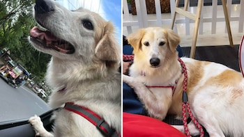 La inigualable mejoría de Pilar