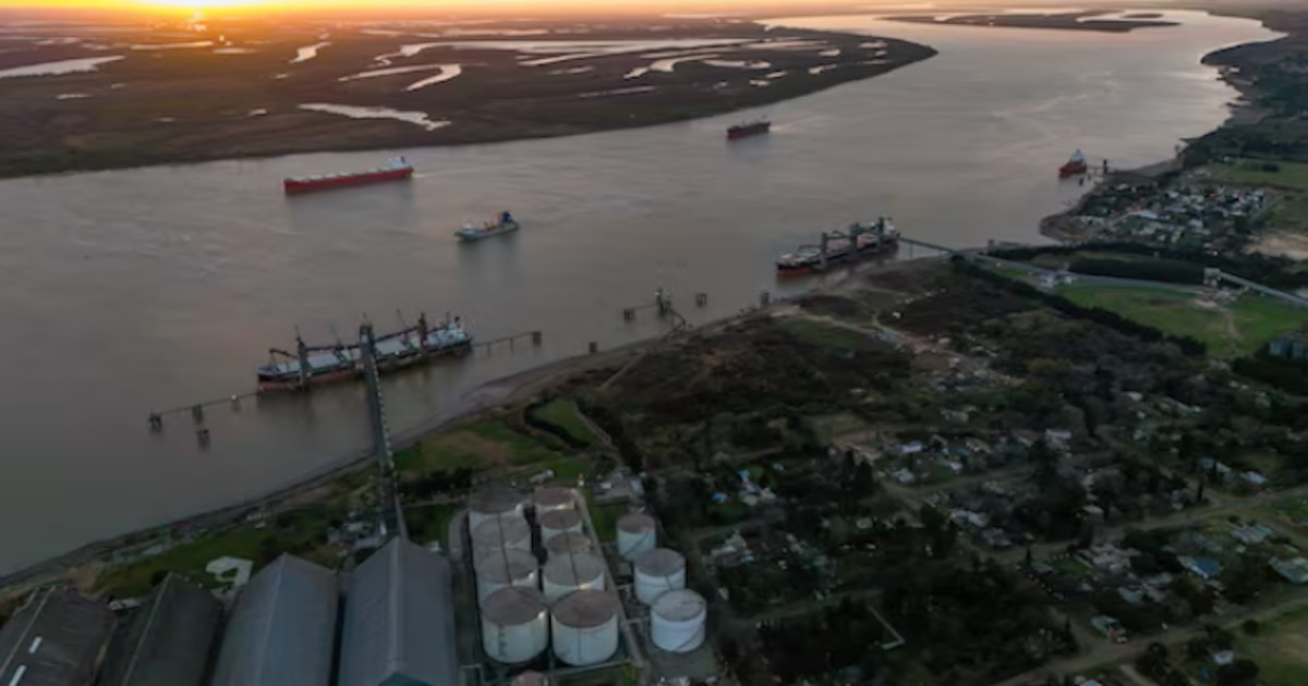 Récord histórico de exportaciones agroindustriales argentinas en noviembre de 2025