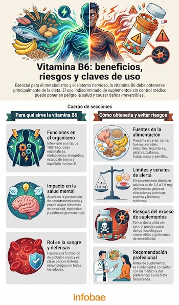 Infografía de Vitamina B6 con alimentos, suplementos, cuerpo humano, cerebro, células sanguíneas, neurona, signos de advertencia y texto explicativo.