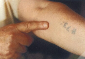 "B7327", el número que los