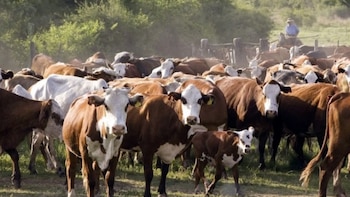 Un productor rural de Santa