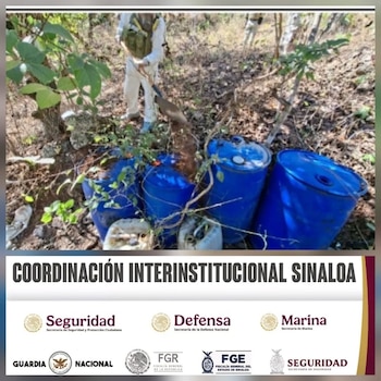 Elementos del Ejército Mexicano, Guardia