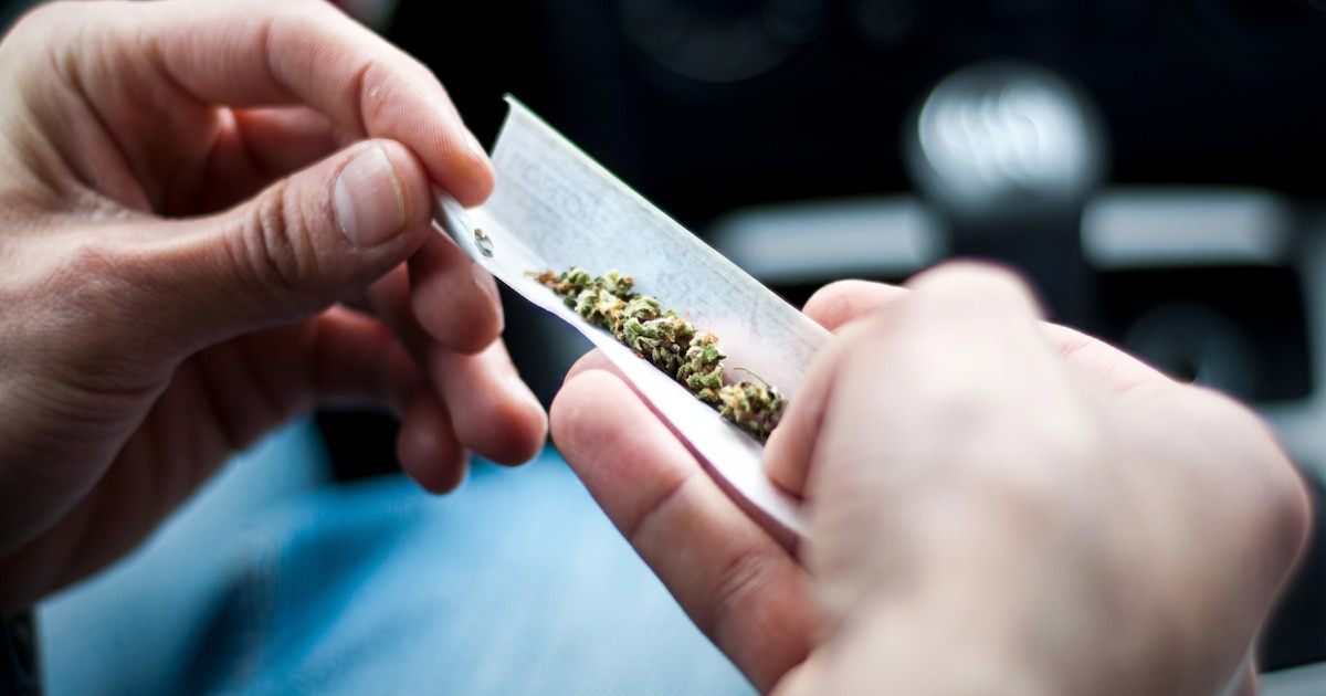 Riesgos del consumo de cannabis en adolescentes y adultos jóvenes