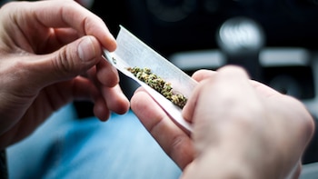 Marihuana y adolescencia: cuáles son sus efectos en el cerebro, la memoria y la conducta, según la ciencia