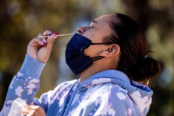 Alarma ante la presencia de