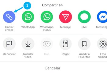 Botón para copiar enlace de