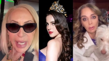 De Laura Bozzo a Fátima Bosch: artistas e influencers piden justicia por Rocky, el perrito que murió tras ser atropellado en Saltillo
