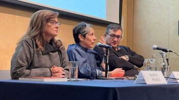 Cuauhtémoc Medina, Laureana Toledo y