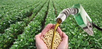 Crecen los planes de Brasil