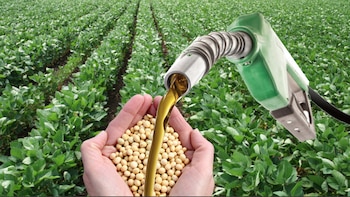 Afortunadamente, Brasil piensa en hacer