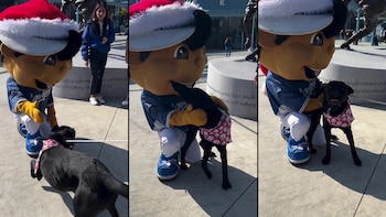 Botarga de los Dodgers protagoniza