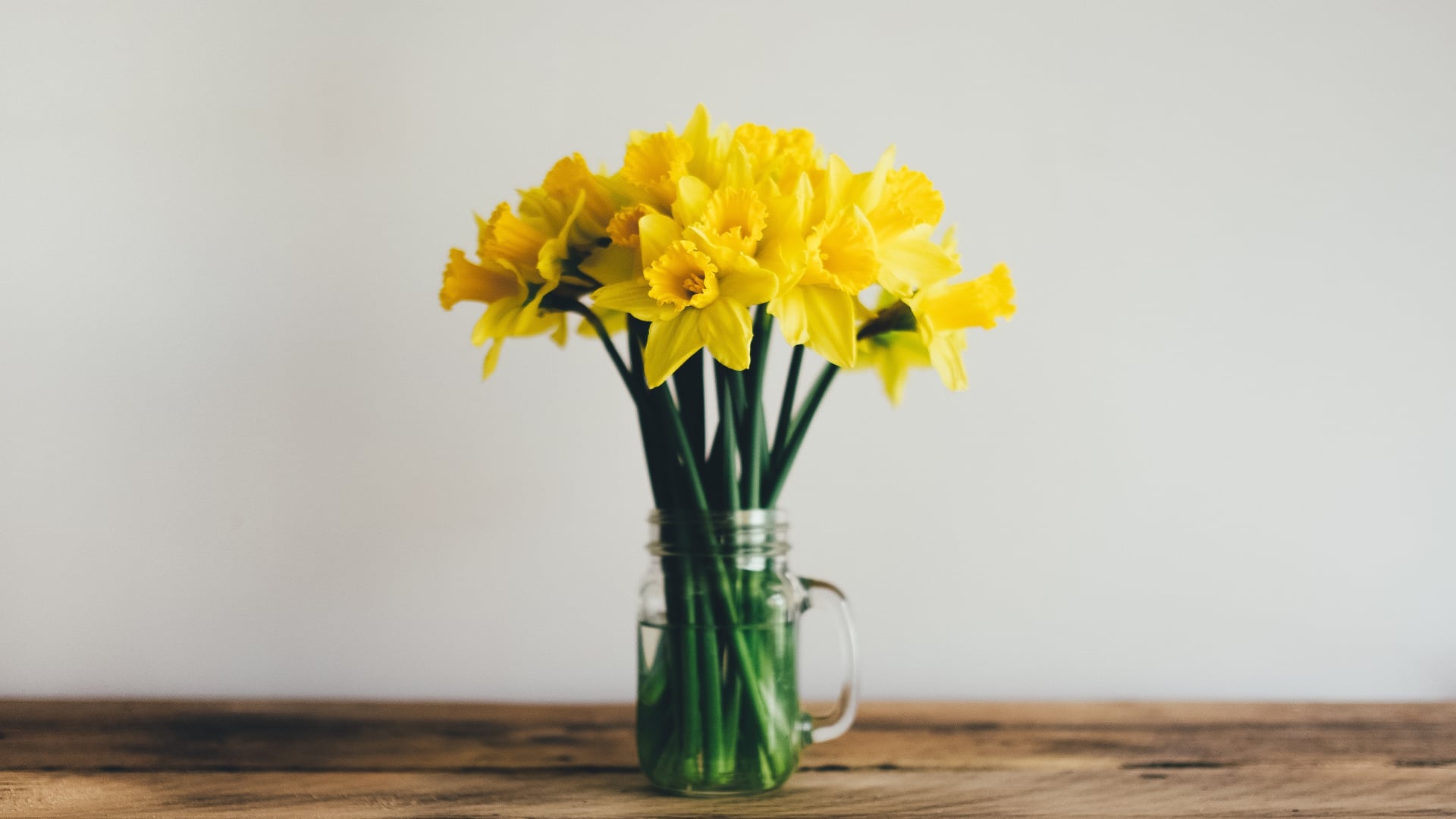 El significado de regalar flores amarillas en septiembre.