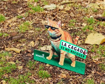 El Idpyba lidera acciones pedagógicas