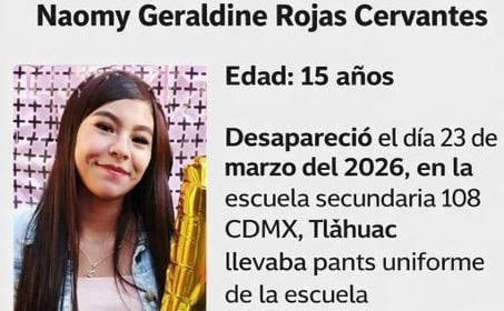 La menor desapareció tras salir de su secundaria en Tláhuac con un hombre que fingió ser su familiar. (X @i_alaniis)