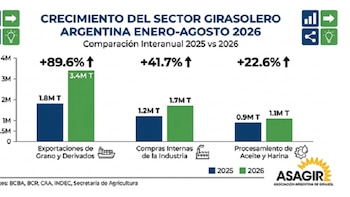 El aceite de girasol desafía la mayor oferta global y sostiene precios récord en los mercados