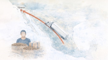 Movimiento de carga entre el occidente del país y Tijuana, una ruta señalada en decomisos recientes de droga sintética en vehículos de productos agrícolas. (Imagen ilustrativa generada con IA | Infobae México)