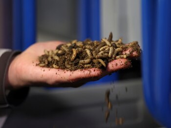 Este estudio pionero no solo