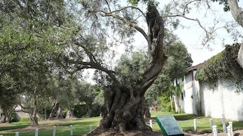 Lima y su patrimonio verde: