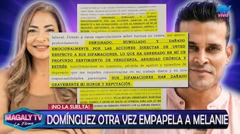 Melanie Martínez acusa a Christian Domínguez de ser un “mal padre” tras recibir carta notarial. Captura: Magaly TV La Firme.