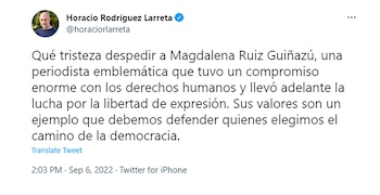 tuits politicos magdalena ruiz guiñazu