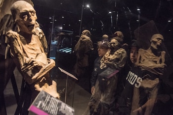 (Foto: Mario Jasso / Cuartoscuro.com)