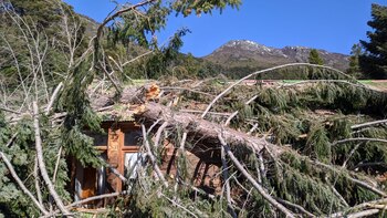 La Justicia constatará los daños