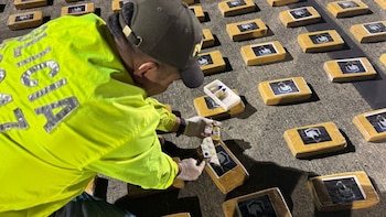 Policía de Colombia presentó balance de la lucha contra el narcotráfico y cómo ha afectado a las estructuras criminales