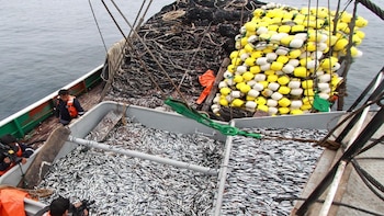 La disposición entrará en vigencia