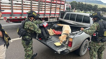 Incautan cargamento de 8 kilos