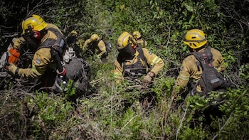 Argentina anuncia la extinción de