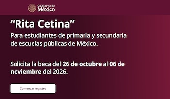El registro consta de cinco pasos, desde el inicio de sesión con Llave MX hasta la validación de la información.
(Captura de pantalla)