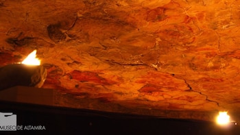 El Museo Altamira inaugura una