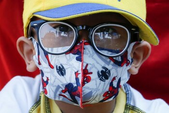 Las autoridades deberán “desarrollar