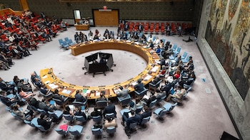 El Consejo de Seguridad de