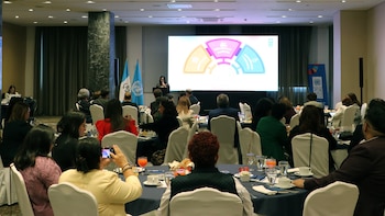 El PNUD inicia presentación del