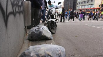 Invasión de gallinazos denuncian vecinos