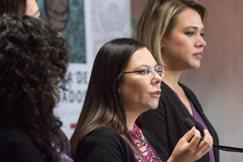 La controversia interpuesta por la