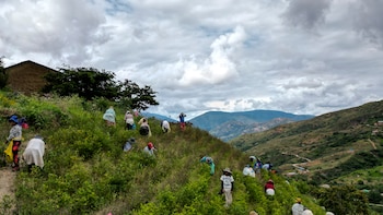 La ONU registró un incremento