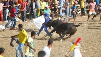 Corralejas en Bolívar y Sucre