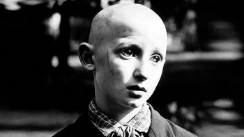 La belleza del día: “Pionero